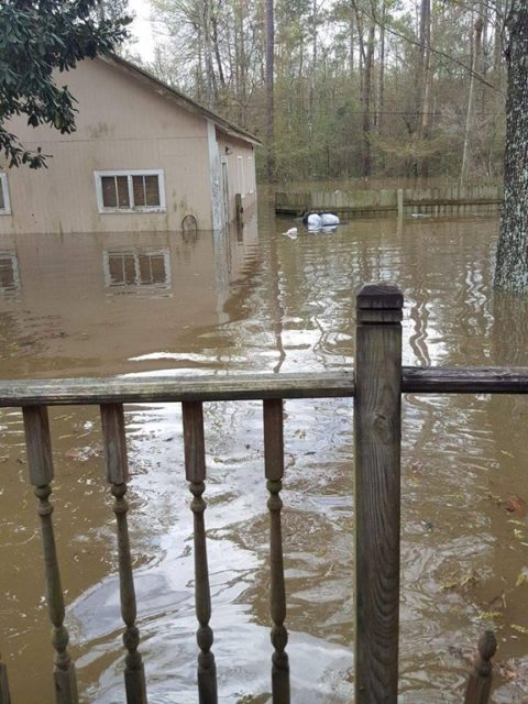 Teresa's flooded home